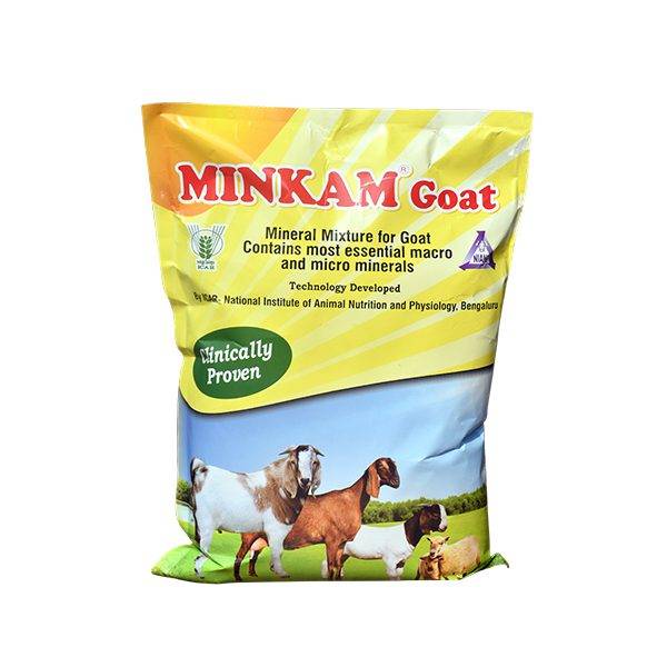 minkam-goat