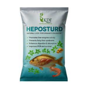 HEPOSTURD